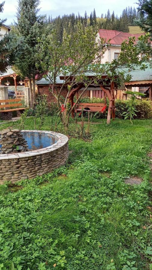 Casa Cu Lavanda Vatra Dornei Extérieur photo