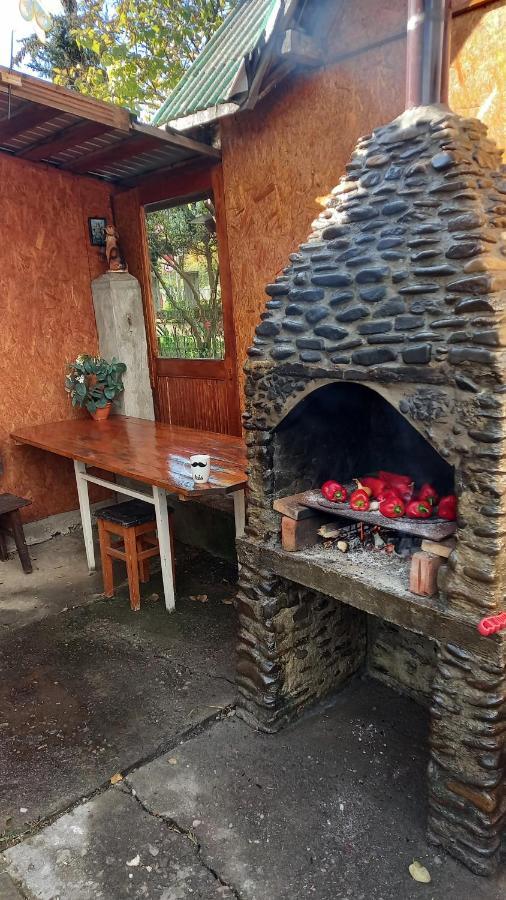 Casa Cu Lavanda Vatra Dornei Extérieur photo