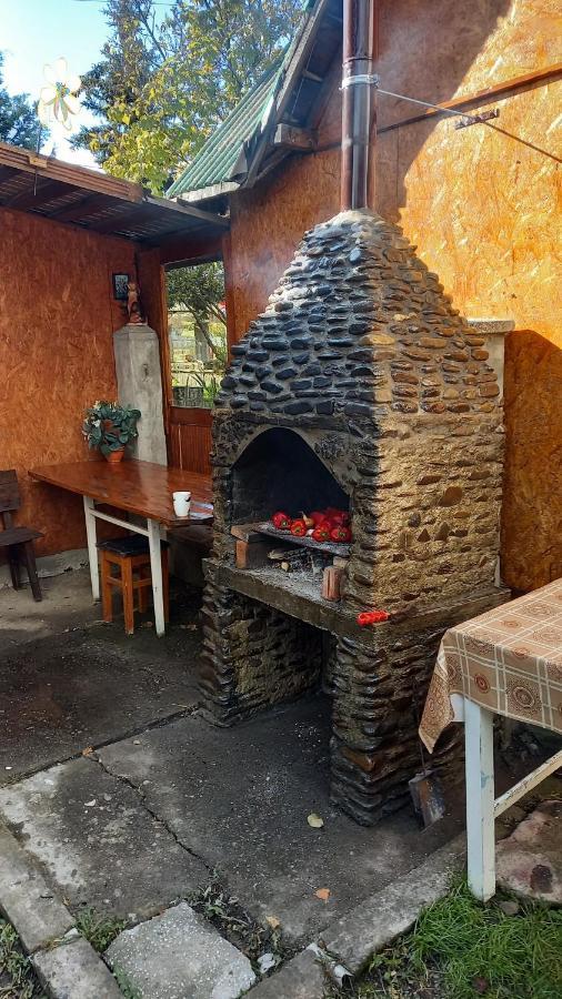 Casa Cu Lavanda Vatra Dornei Extérieur photo