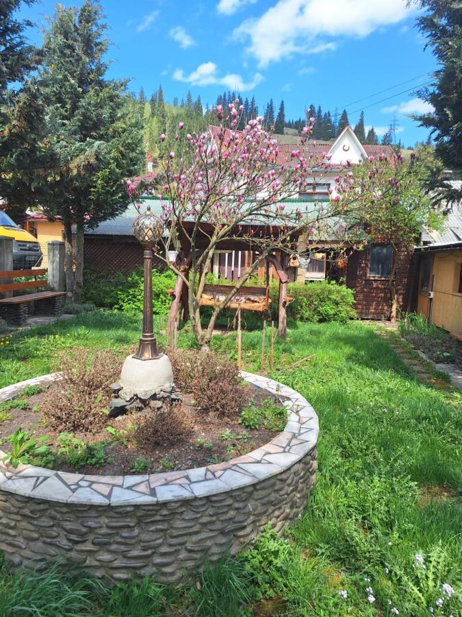 Casa Cu Lavanda Vatra Dornei Extérieur photo