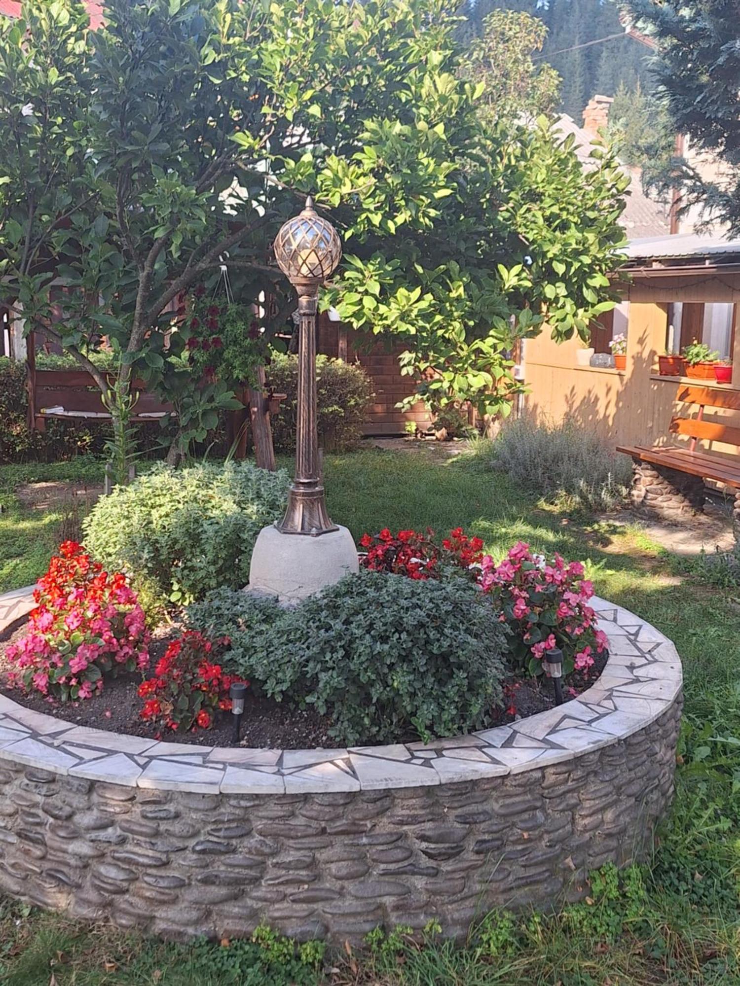 Casa Cu Lavanda Vatra Dornei Extérieur photo